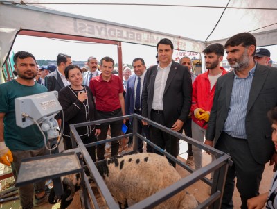 ŞEHİTKAMİL’DE KURBAN BAYRAMI HAZIRLIKLARI TAMAMLANDI
